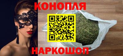 шишки Жуковский